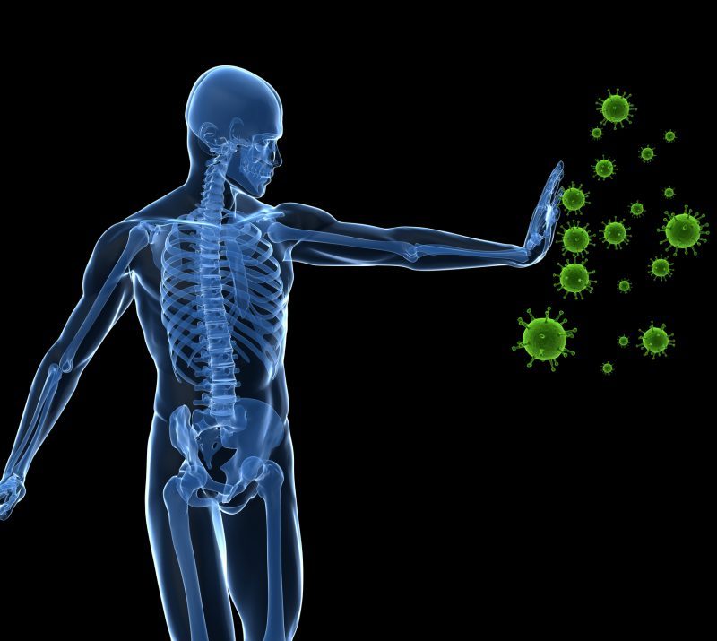 იმუნური სისტემა